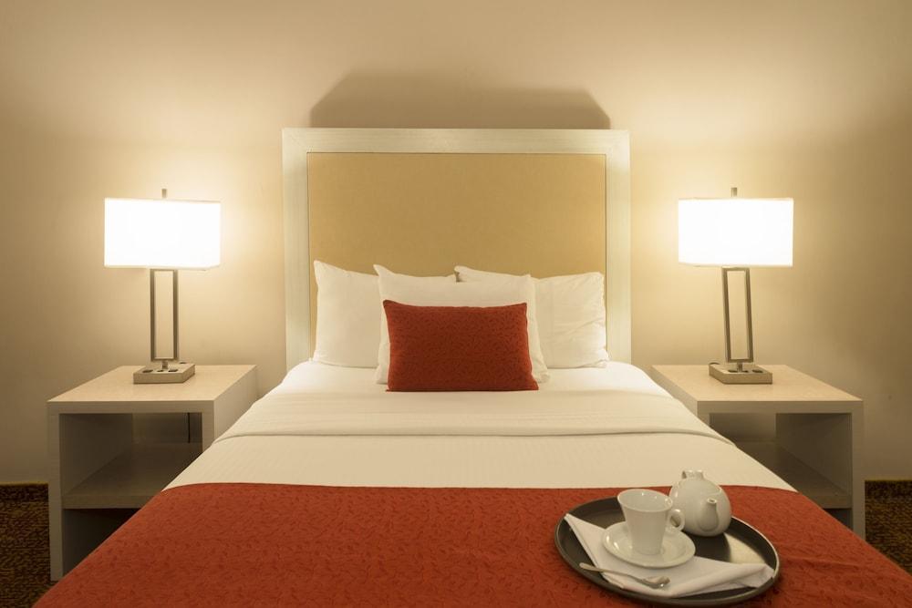 Stanza Hotel Città del Messico Esterno foto